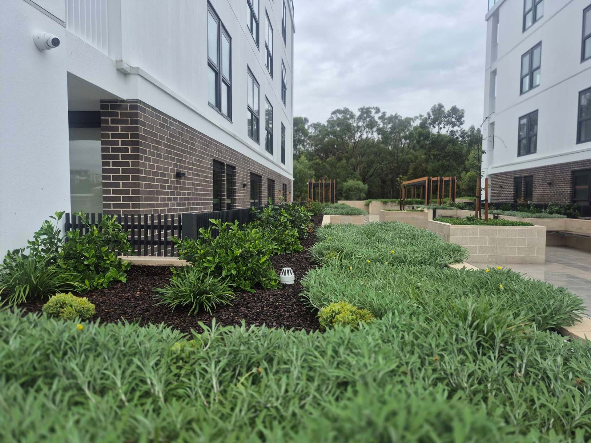 Kingfisher Grove ILU's