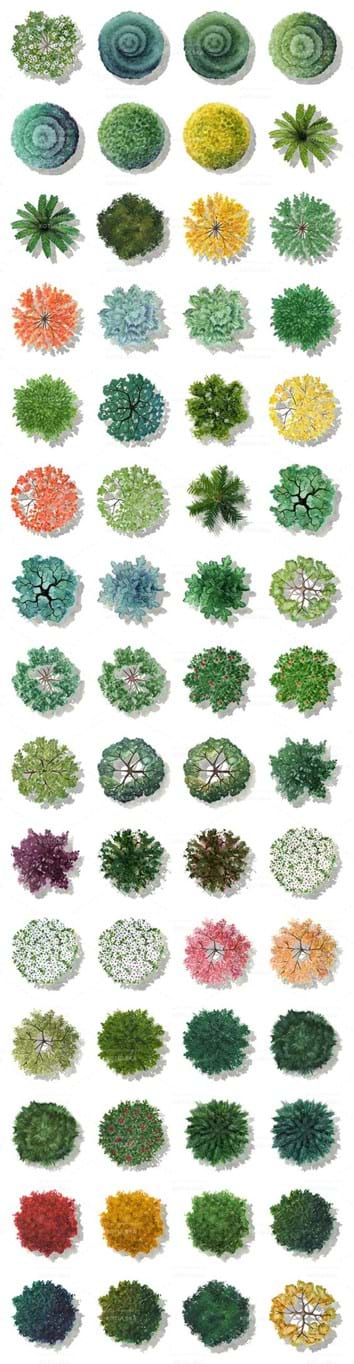 Landscape Design Questionnaire